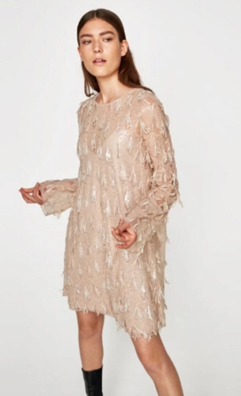 Zara W&B Sequin Fringe Tulle Shift Mini‎ Dress Women Size S Beige Champagne